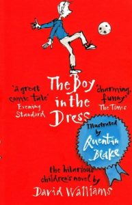 The Boy in the Dress book cover