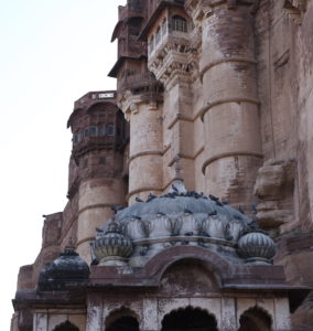 mehrangarh-fort-with-pigeons