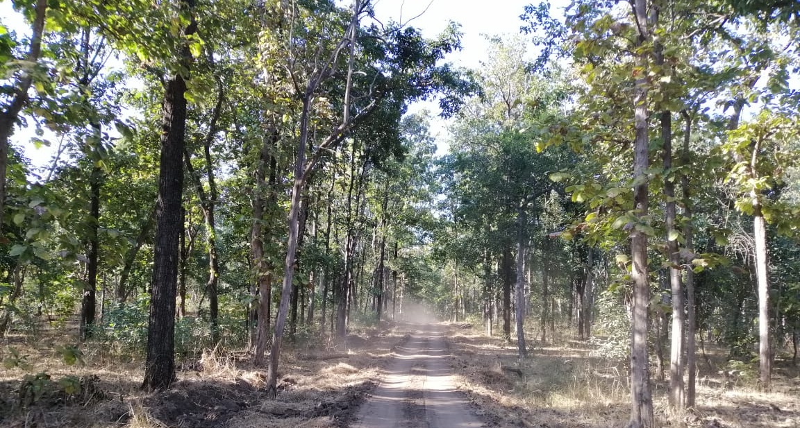 Pench Tiger Reserve