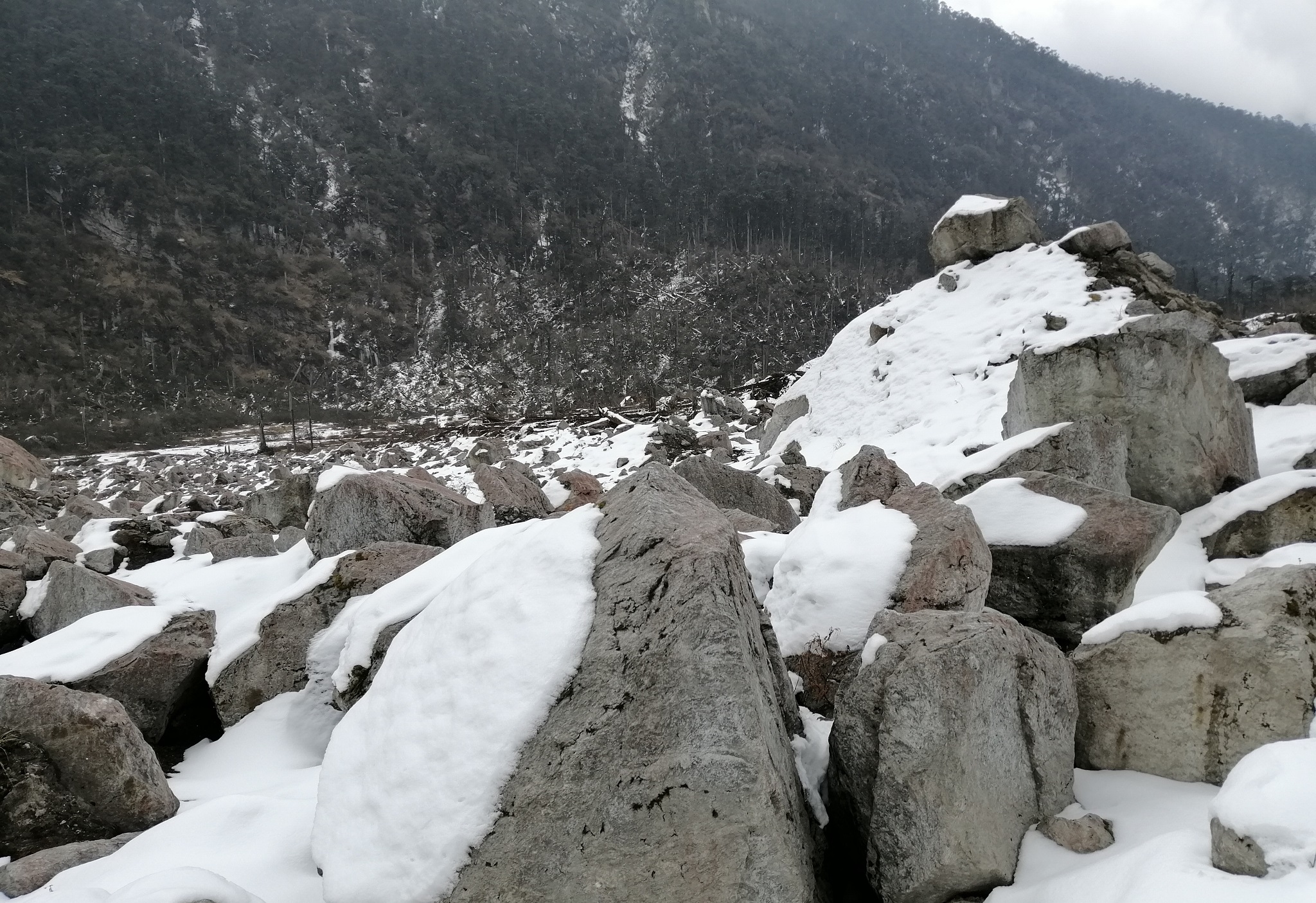 Snow on the way to Yumthang