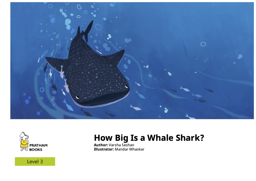 How Big Is A Whale Shark English